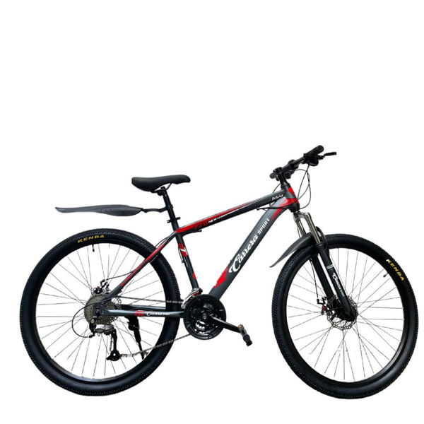 Imagen de Bicicleta Montaña Carrera GTO