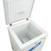 Imagen de Freezer Horizontal TEM 102L