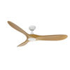 Imagen de Ventilador Techo James - VT41
