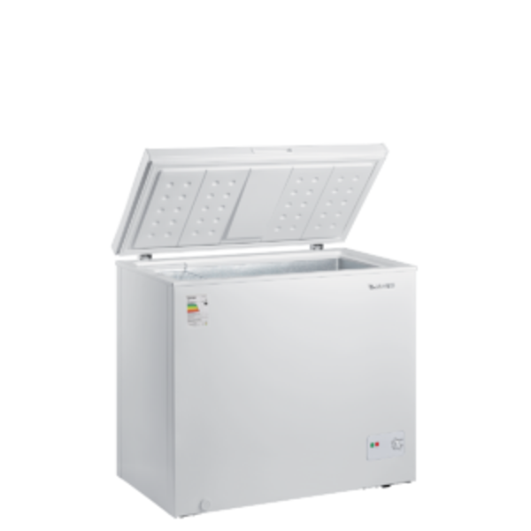 Imagen de Freezer horizontal James mod 310