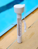 Imagen de Termómetro Flotante para  Piscina  Intex