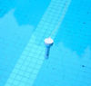Imagen de Termómetro Flotante para  Piscina  Intex